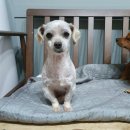 현곡면행정복지센터 이미지