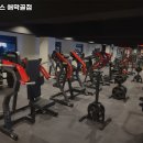청년헬스장(애막골점) 네이버블로그