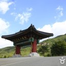 북장사 - 731 | 북장사