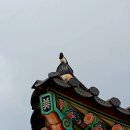 이경순 Daum카페