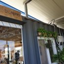 퍼피빌리티 이미지