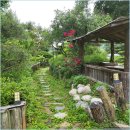 천만애능이백숙 이미지