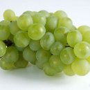 샤인 PC방 이미지