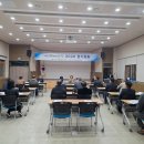 대안