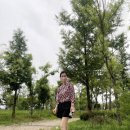 선운장어 이미지