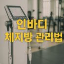 인바디 체지방률 정상 수치와 디테일한 관리방법