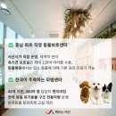 서산시동물보호센터 이미지