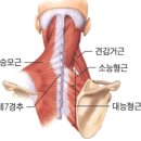 마천경희한의원 네이버블로그