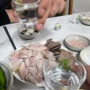 금와 | 대구 노포 맛집 금와식당 냉수육에 낮술 후기