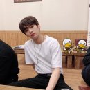 리노 이미지