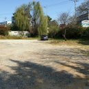 김포금쌀밥집 이미지