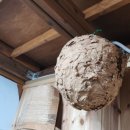 비동스테이민박 이미지