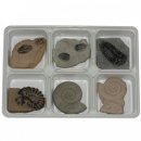 아리랑과학 이미지