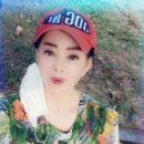 일급수세탁 이미지