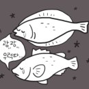 나루스시 이미지