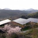 죽전 태양광발전소 이미지