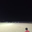 바다의아들 네이버블로그