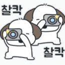 안산초등학교 이미지