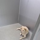 운동부족 발리와의 전쟁 이미지