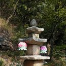 풍담