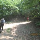 매산목장 이미지