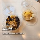 264 | 남양주 디저트카페 그릭요거트가 맛있는 요로링