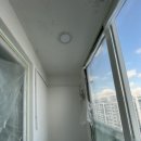 국화한신 이미지