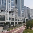 스트라우스레스토랑