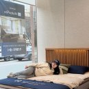 샹떼 | 인천침대 할인매장 가서본 씰리 샹떼2