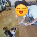 주식회사 키앤소 | 송도 마리앤쥬 ㅡ 실내 동물원 후기 소동물 파충류 체험 내돈내산