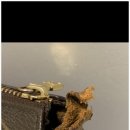 수선토탈 이미지