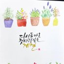 플러스펜 수채 캘리그라피 이미지