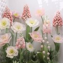 아크릴화 이미지