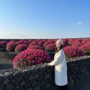 독자봉 | 제주 삼달리 동백 가오픈 신상! 역대급