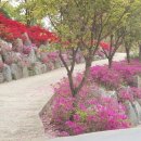 갈월공원 이미지