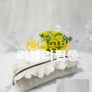 러블리 홈패션 이미지