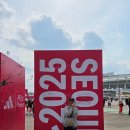 루이모텔 | 런린이의 첫 풀코스마라톤 도전기 - 2025 서울동아마라톤