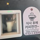 미래반점 이미지