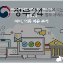 정부24 마비, 먹통 원인 이유 분석
