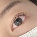 늘솜언니