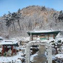 강산