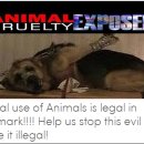 필종합동물병원 이미지