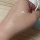 100프로스킨케어 | [공지] [내돈내산/올리브영] 넘버즈인 1번 판토텐산 스킨케어100 블러파우더 수부지 여드름 피부 후기