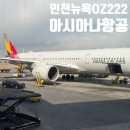 222 | 인천 뉴욕 아시아나항공 OZ222 기내식 오로라 와이파이 구매 후기