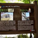 8월22일 (화요일)청솔산악회 제26회 정기산행 강원도 삼척시 무릉계곡 이미지