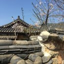 풀꽃민박 이미지