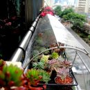 미니하우스 이미지