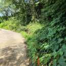 상중보건진료소 이미지