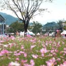 곡성-246 이미지