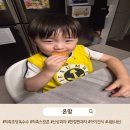 가온소분 | 엄마는 아쉬웠는데 아이들은 반해버린 신상 과자, 칙촉 초당옥수수